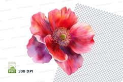 Vibrant poppy flower clipart png Product Image 1