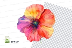 Colorful poppy flower Product Image 1