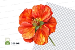 Vibrant orange flower clipart png Product Image 1