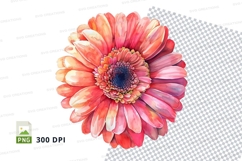 Vibrant gerbera daisy clipart png Product Image 1