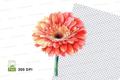 Vibrant gerbera daisy clipart png Product Image 1