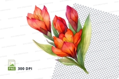 Vibrant tulip bouquet clipart png Product Image 1