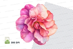 Pink hibiscus flower clipart png Product Image 1