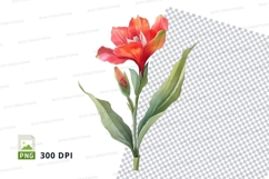Vibrant red flower clipart png Product Image 1