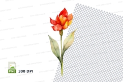 Vibrant tulip clipart png Product Image 1