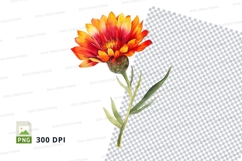 Vibrant orange flower clipart png Product Image 1