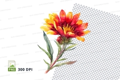 Vibrant flower clipart png Product Image 1
