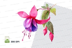 Pink and purple fuchsia flower clipart png Product Image 1