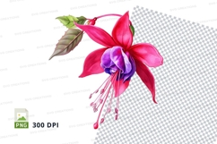 Vibrant fuchsia flower clipart png Product Image 1