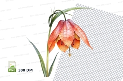Vibrant orange flower clipart png Product Image 1