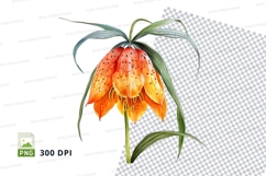 Orange fritillary flower clipart png Product Image 1