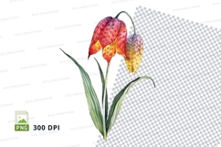 Vibrant fritillary clipart png Product Image 1