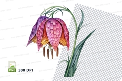 Pink fritillary flower clipart png Product Image 1