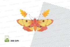 Autumn butterfly with leaves clipart png Product Image 1