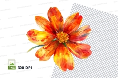 Vibrant orange flower clipart png Product Image 1
