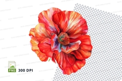 Vibrant red poppy flower clipart png Product Image 1