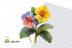 Colorful primroses clipart png Product Image 1