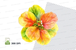 Vibrant tropical flower clipart png Product Image 1