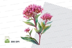 Pink flower clipart png Product Image 1