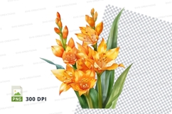Vibrant orange flowers clipart png Product Image 1