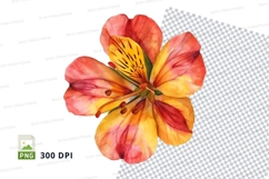 Vibrant flower clipart png Product Image 1