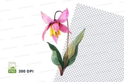 Pink flower clipart png Product Image 1