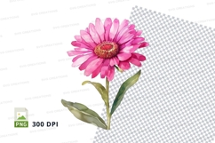 Pink gerbera daisy clipart png Product Image 1