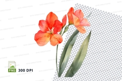 Colorful hibiscus flower clipart png Product Image 1