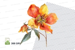 Vibrant orange and yellow flower clipart png Product Image 1