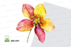 Vibrant flower clipart png Product Image 1