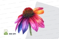 Vibrant coneflower clipart png Product Image 1