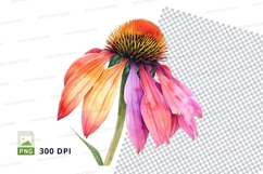 Vibrant coneflower clipart png Product Image 1