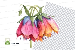 Vibrant flower clipart png Product Image 1