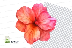 Vibrant pink hibiscus flower clipart png Product Image 1