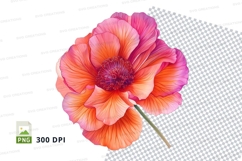 Vibrant poppy flower clipart png Product Image 1