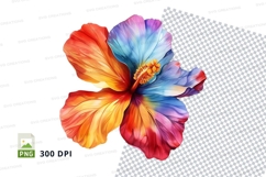 Colorful hibiscus flower clipart png Product Image 1