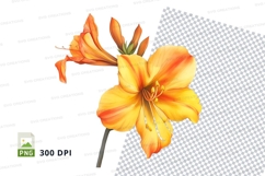 Vibrant orange lily Product Image 1