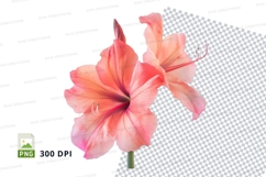 Pink amaryllis flower clipart png Product Image 1