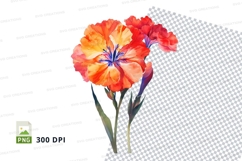 Bright carnations clipart png Product Image 1