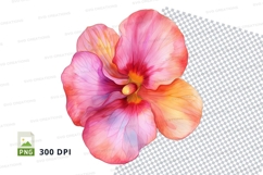 Vibrant hibiscus flower clipart png Product Image 1