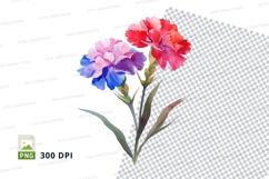 Colorful carnations clipart png Product Image 1