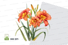 Vibrant orange daylilies clipart png Product Image 1