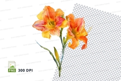 Vibrant orange and yellow daylilies clipart png Product Image 1