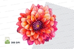 Vibrant dahlia flower clipart png Product Image 1