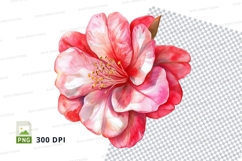 Pink cherry blossom clipart png Product Image 1