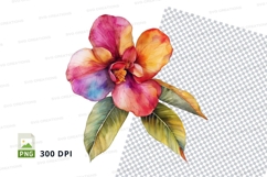 Vibrant hibiscus flower clipart png Product Image 1