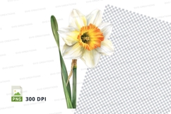 White and orange flower clipart png Product Image 1