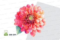 Vibrant dahlia flower clipart png Product Image 1