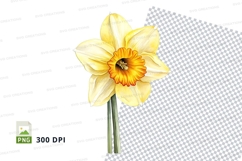 Yellow daffodil clipart png Product Image 1