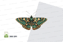 Green and gold butterfly clipart png Product Image 1